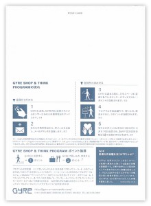 gyre_b