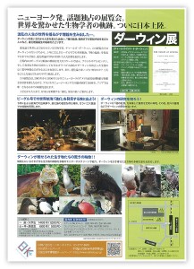 resize0298