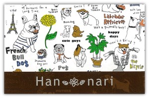 han_nari han_nari