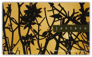 jenteco jenteco