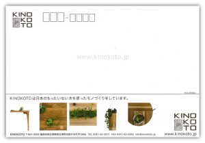 kinokoto2