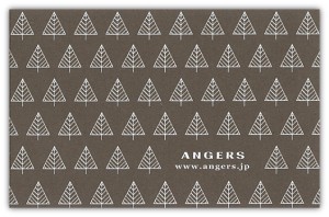 angers angers