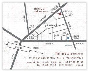 miniyon2