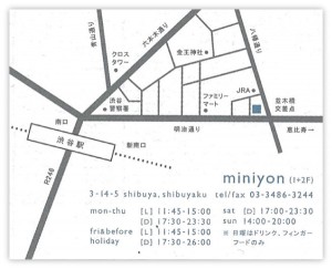 miniyon4