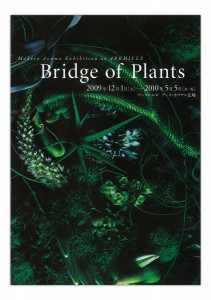 bridge_of_plants