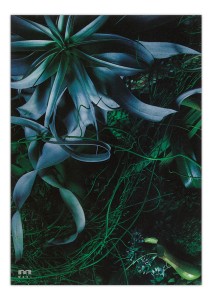 bridge_of_plants2
