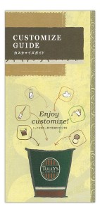 customize_guide