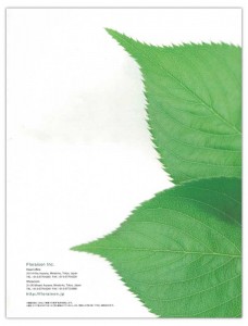 greenscape2