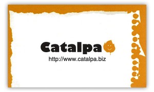 catalpa