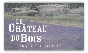 le_chateau_du_bois