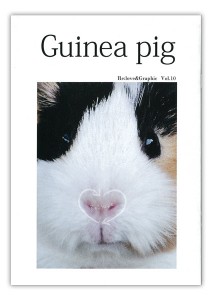 guinea_pig1