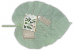 leaf_letter2